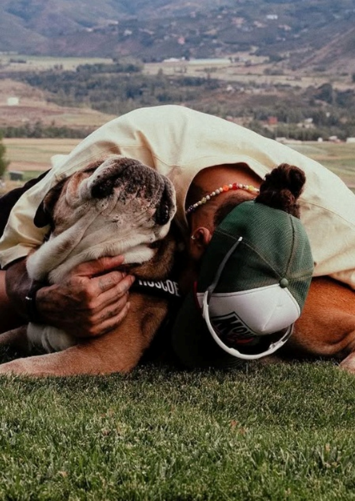 lewis hamilton lutto morto cane