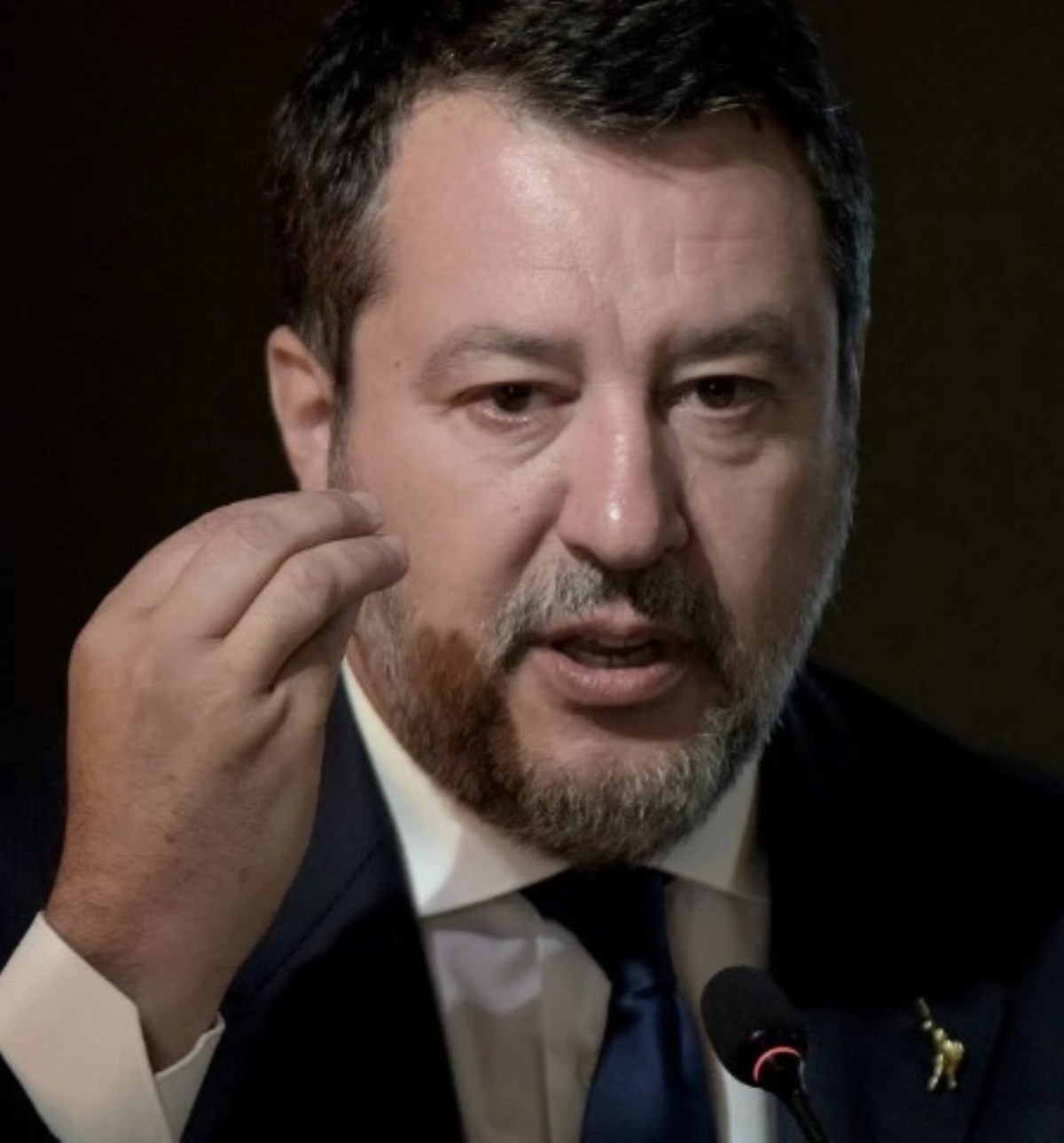 matteo salvini bonus