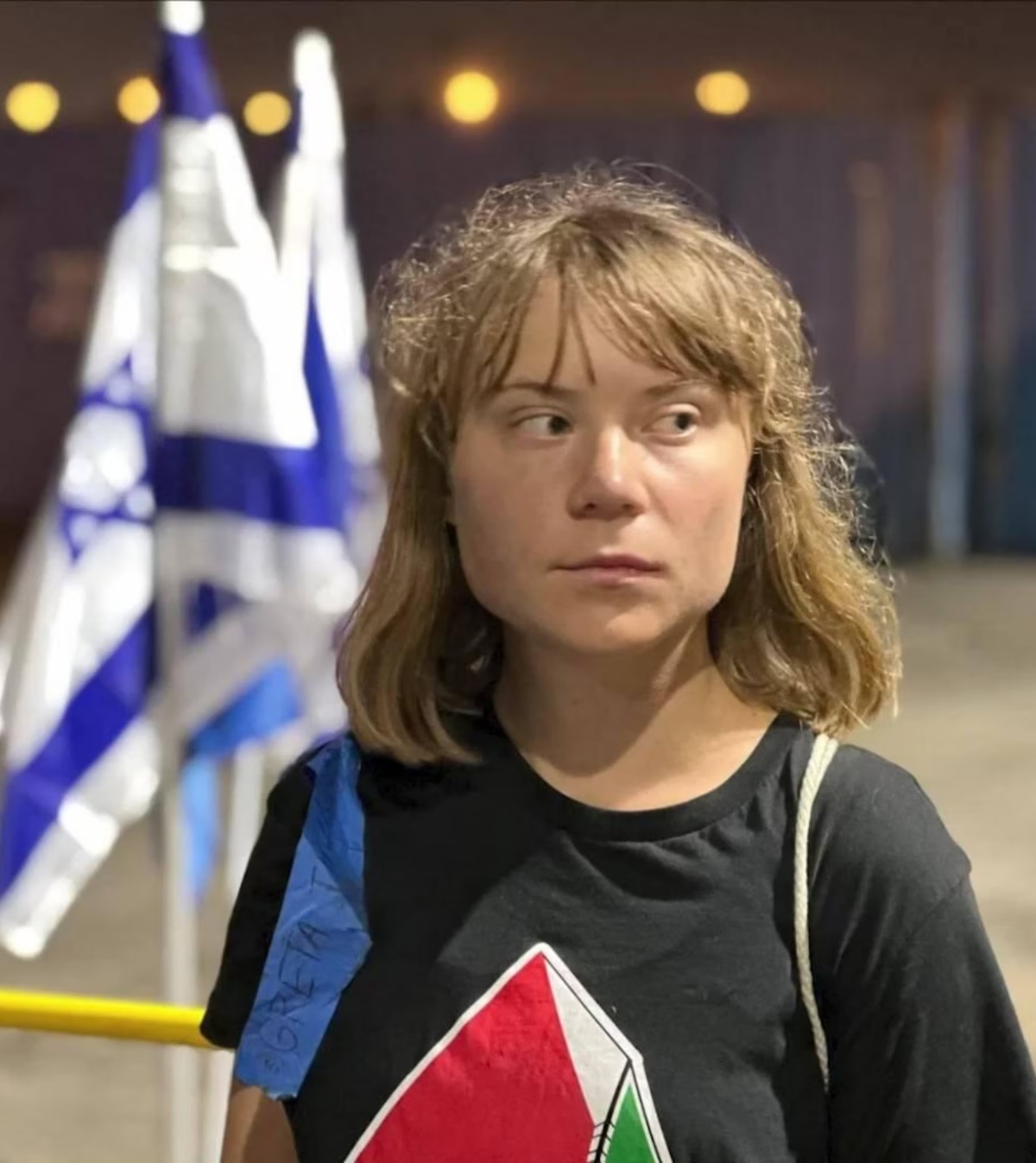 greta thunberg costretta baciare bandiera israele