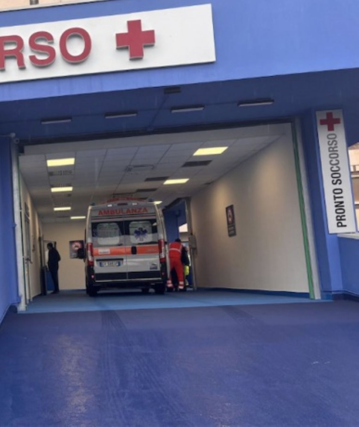 capra aggredisce 36enne perfora occhio cervello