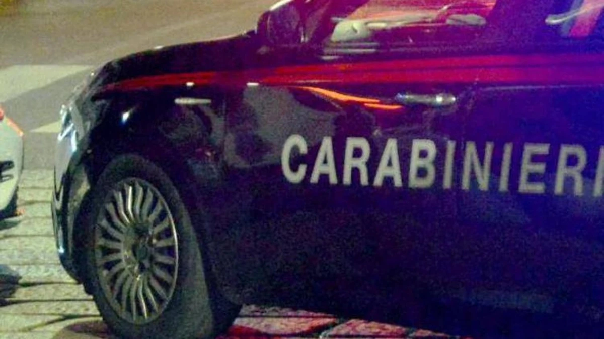 Intervento dei carabinieri nel parco di Milano