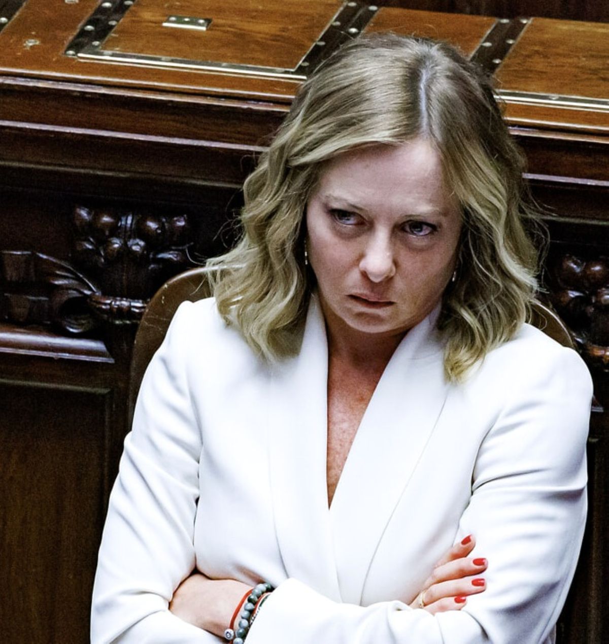 giorgia meloni si infuria brunetta marcia indietro