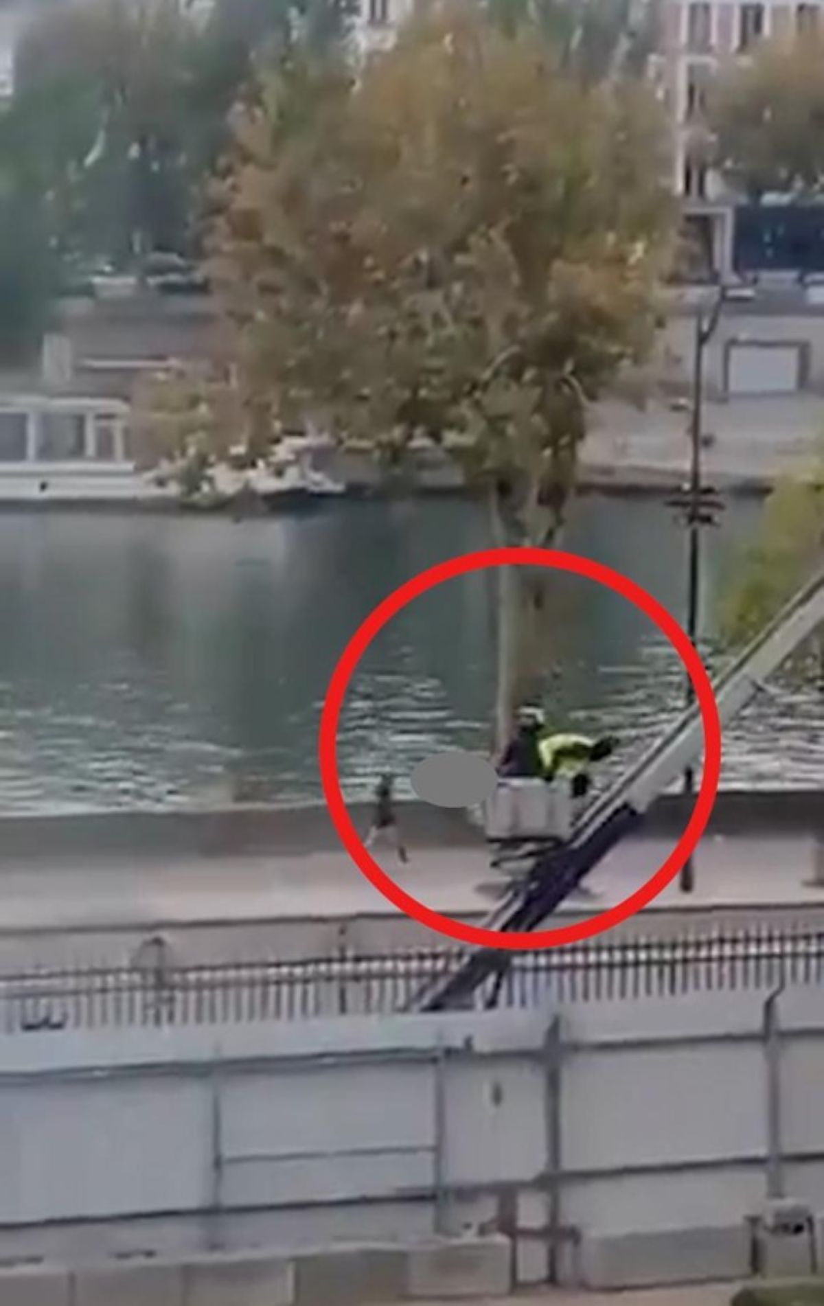 rapina louvre scoperta choc sicurezza
