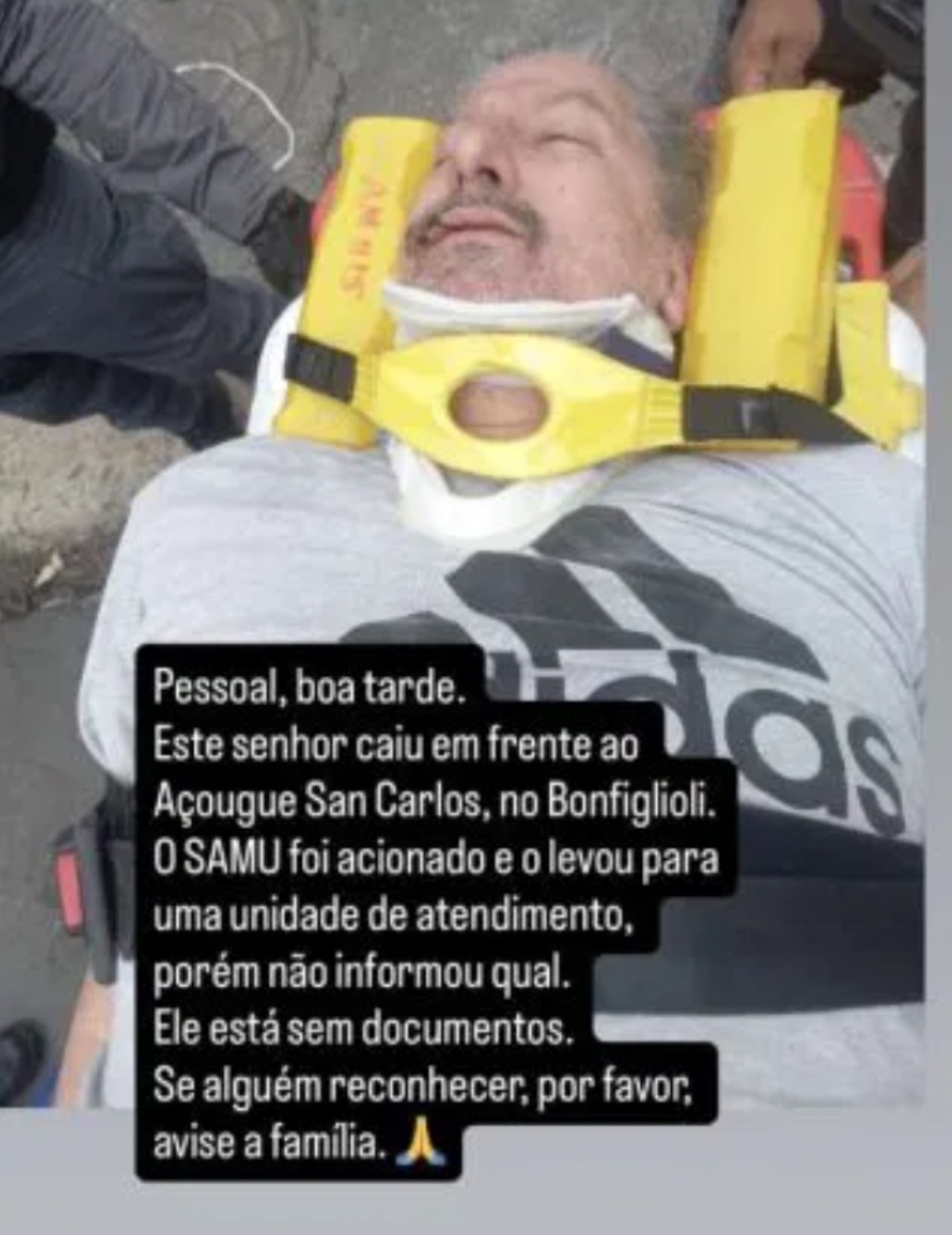 helena prestes annuncio choc gela fan