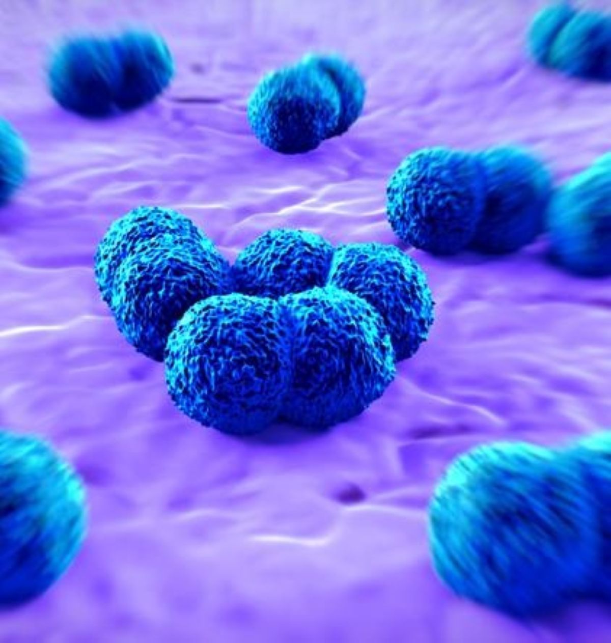 epidemia meningite allarme