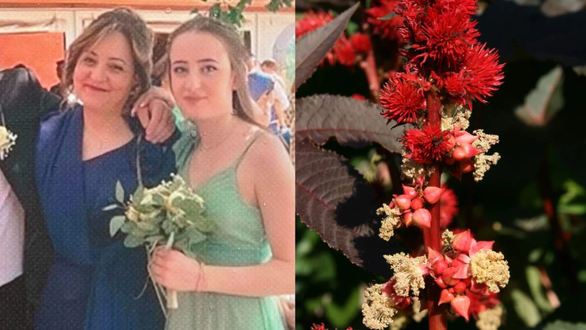 madre figlia morte ricina cosa è