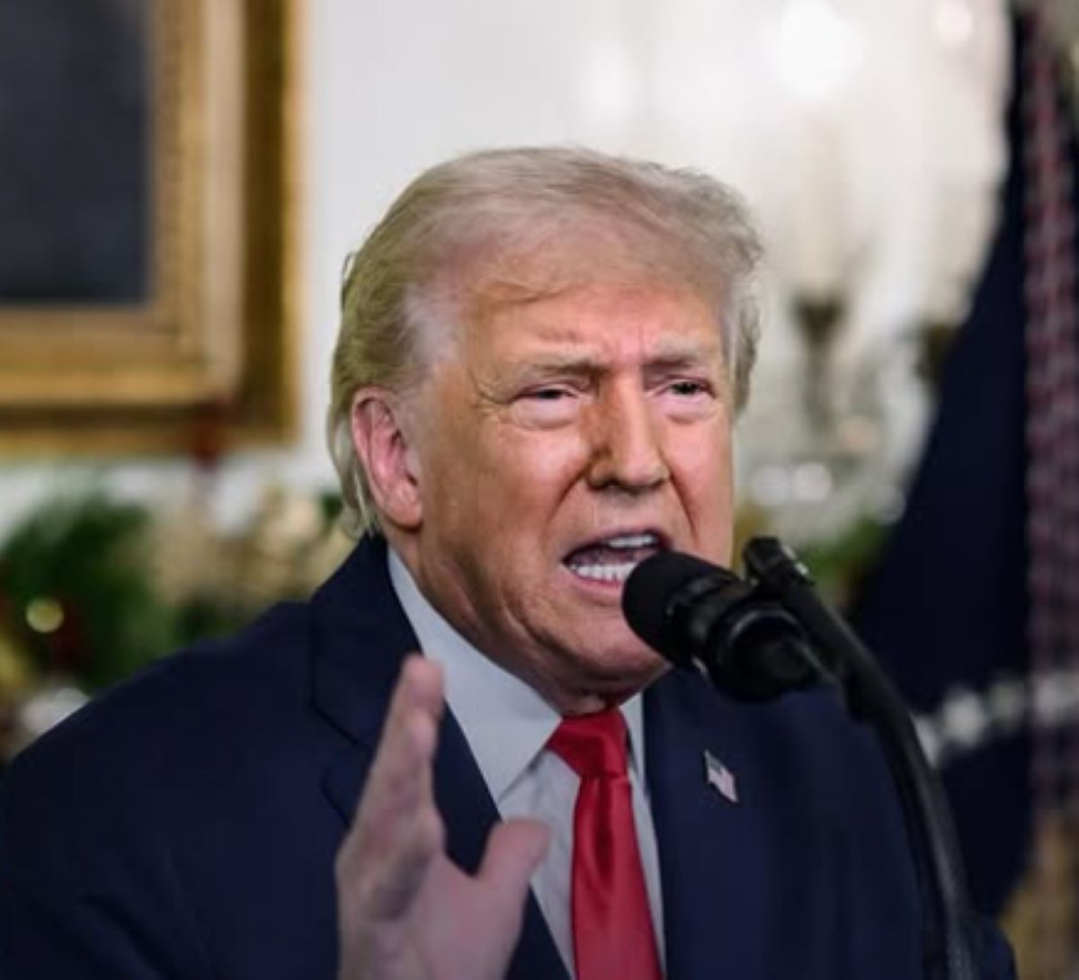 Trump Salvini