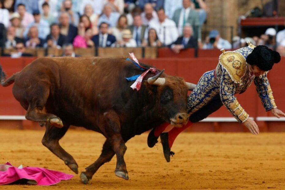 torero incornato gravissimo