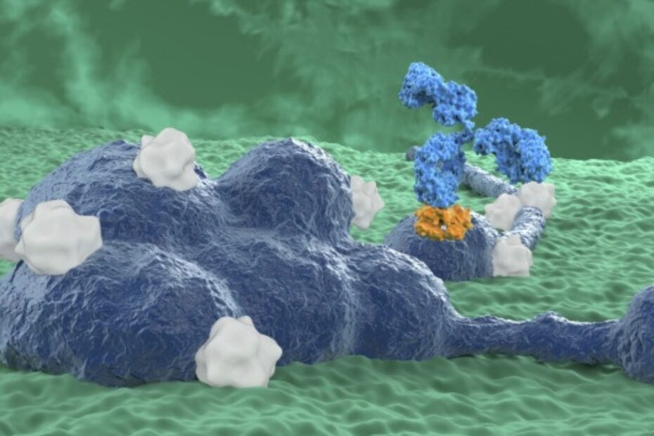 virus pericoloso consumo umano