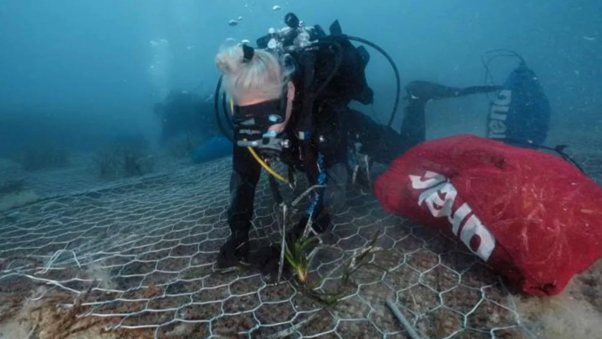 Area delle ricerche alle Maldive e operazioni dei soccorritori