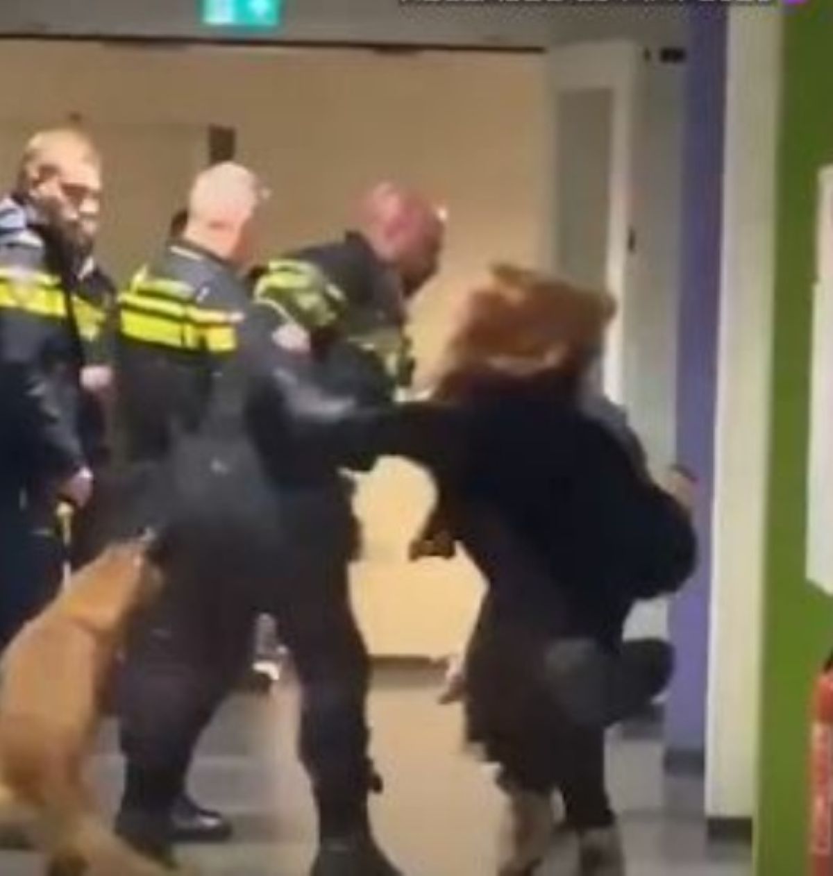donna incinta aggredita poliziotti