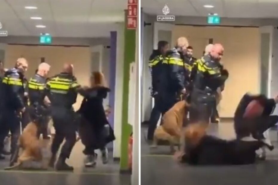 donna incinta aggredita poliziotti