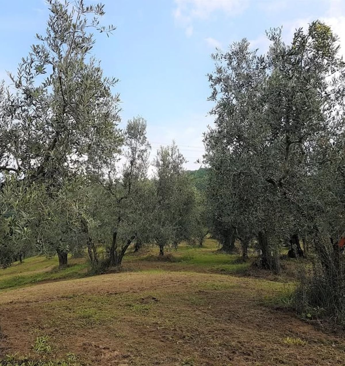 morto imprenditore proprio lì
