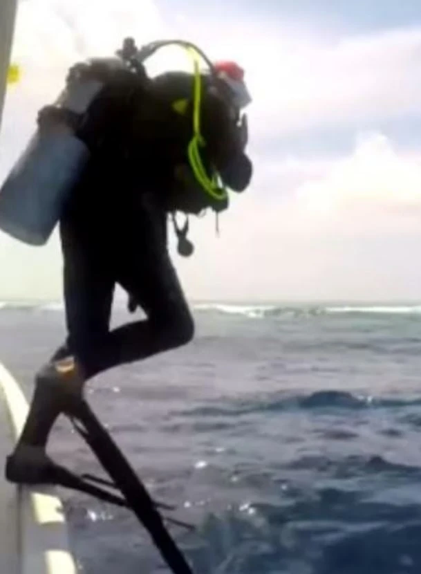 Immagine legata alle immersioni alle Maldive, scenario della tragedia