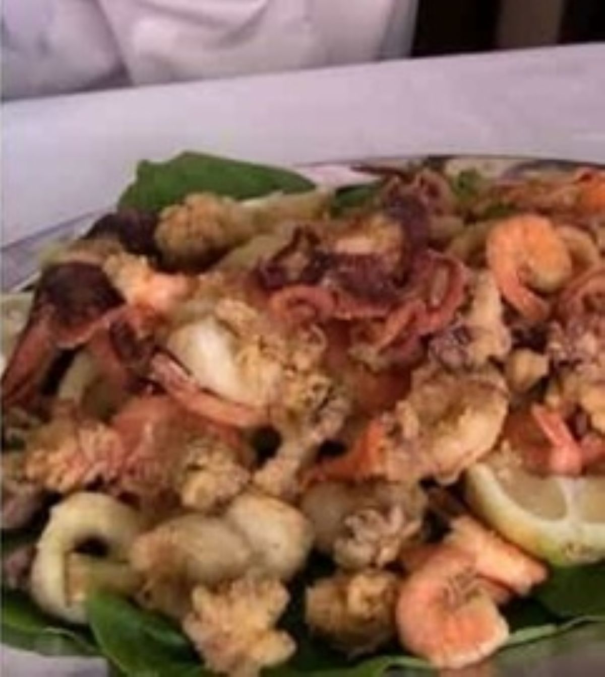 1143 euro frittura fiorentine