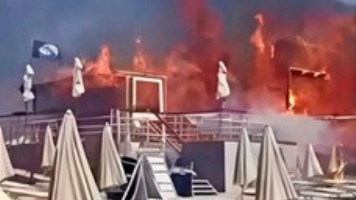 incendio nel salento fiamme tra resort e spiagge evacuati turisti messo in sicurezza anche balotelli da Caffeinamagazine.it incendio nel salento fiamme tra resort e spiagge evacuati turisti messo in sicurezza anche balotelli