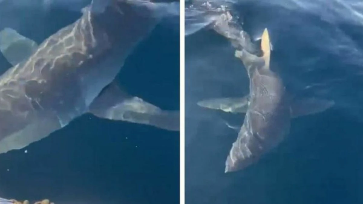 Costa dell’Australia Occidentale, mare e scogliera nell’area di Albany