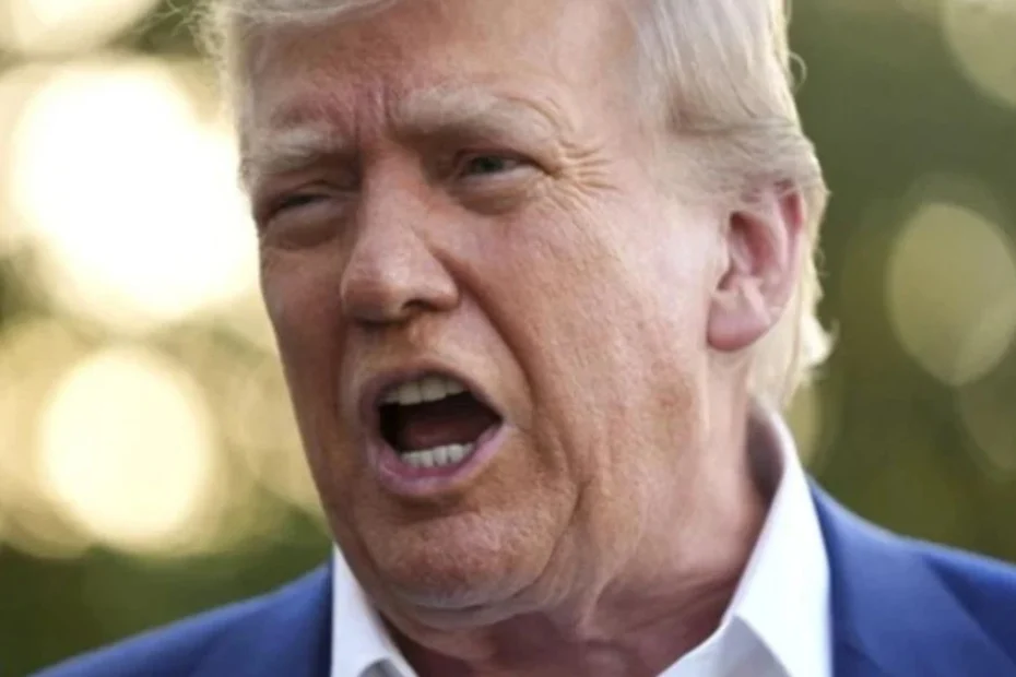 trump frase caos