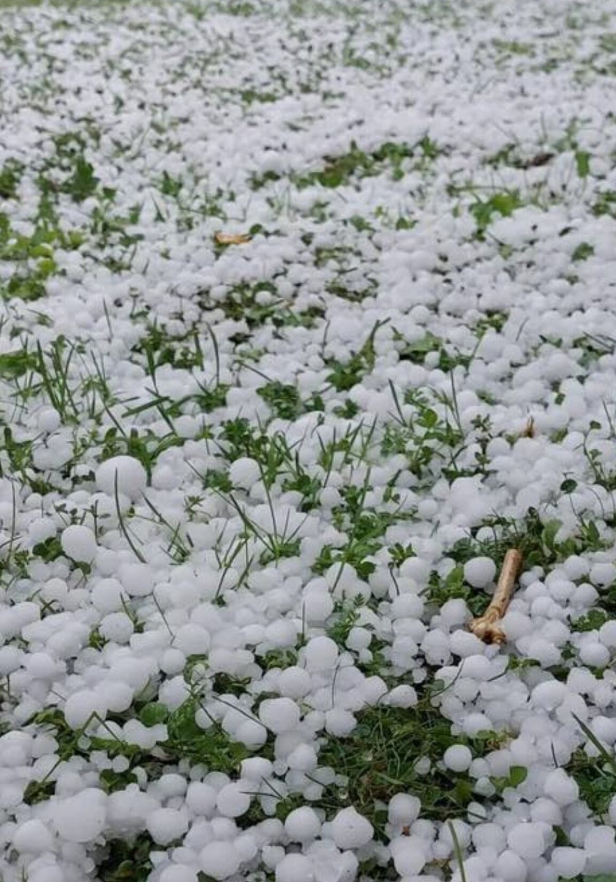 allerta meteo regioni rischio