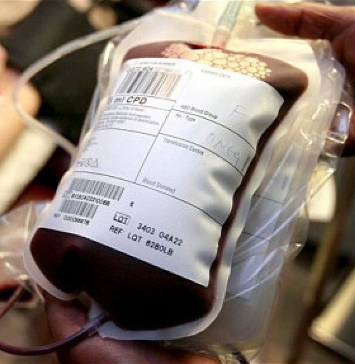 dove finisce sangue donazioni