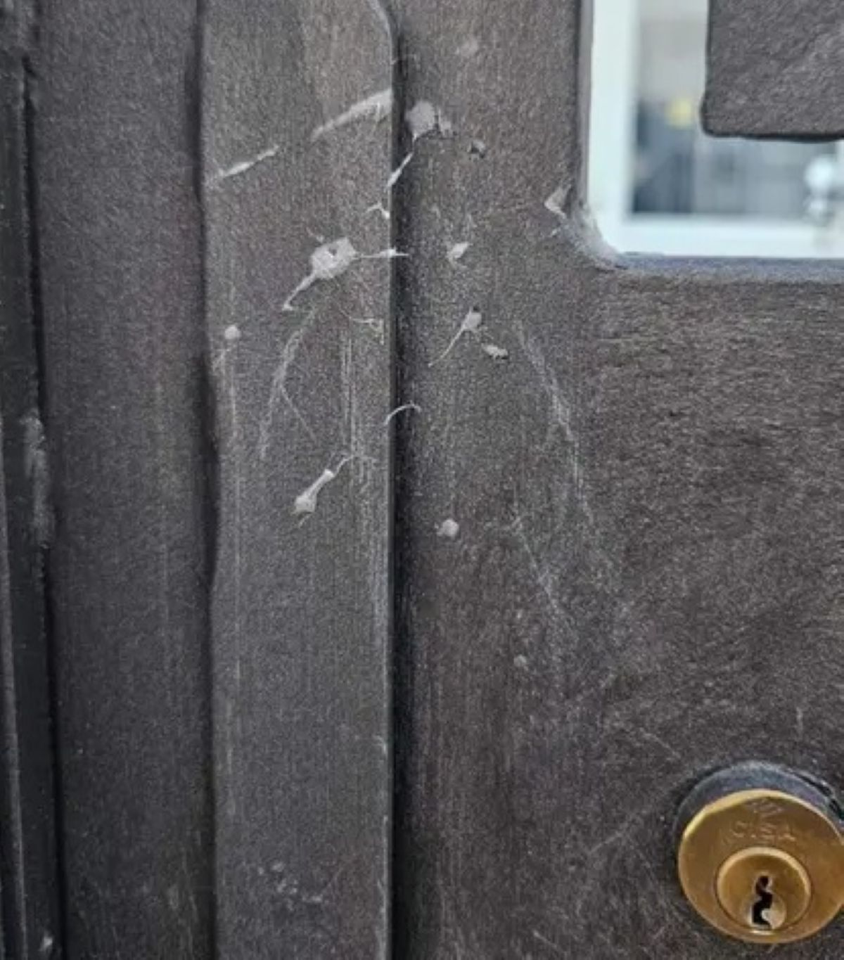 filo colla tecnica ladri come funziona