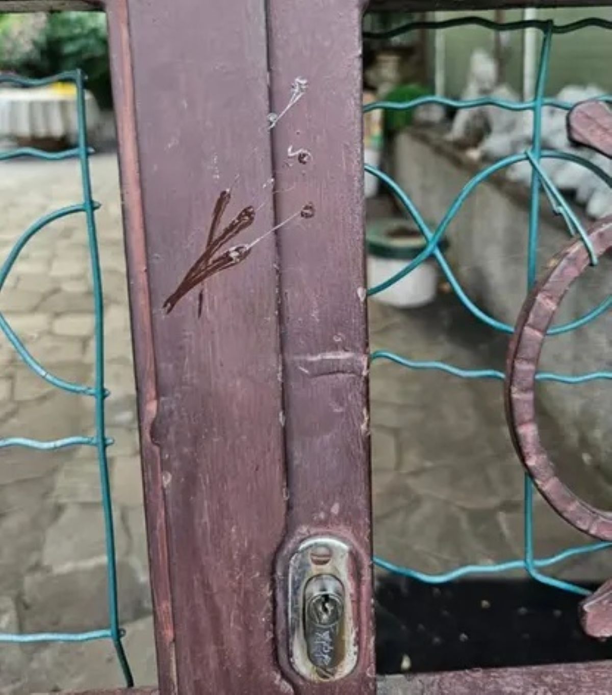 filo colla tecnica ladri come funziona