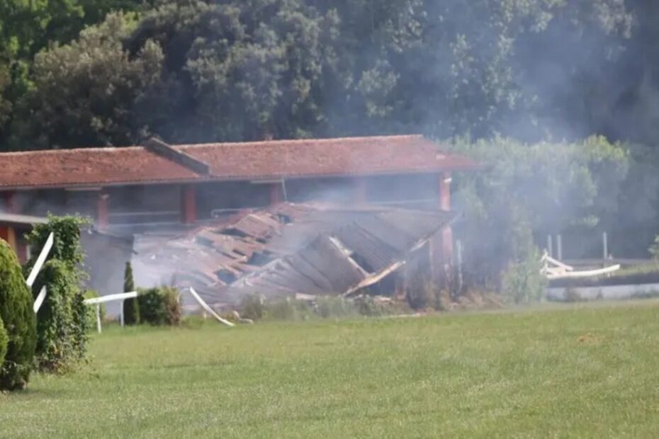 incendio ippodromo strage cavalli