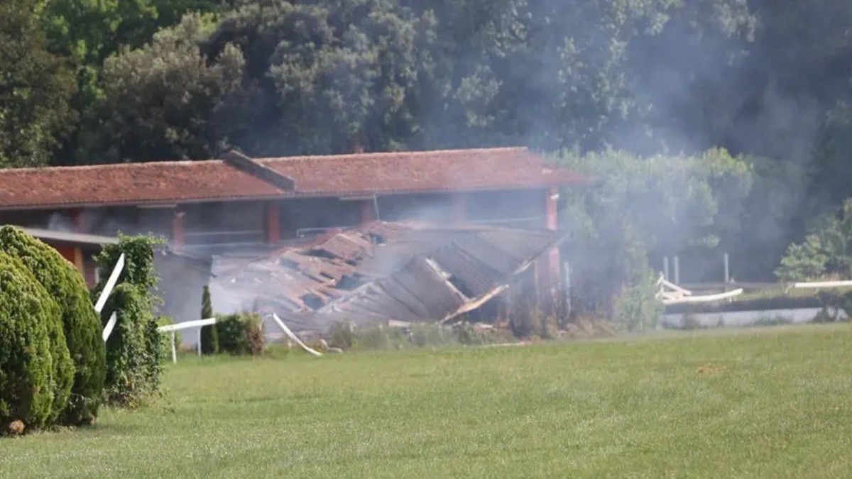 incendio all8217ippodromo 232 strage di cavalli sul posto vigili del fuoco e soccorsi da Caffeinamagazine.it incendio all8217ippodromo 232 strage di cavalli sul posto vigili del fuoco e soccorsi