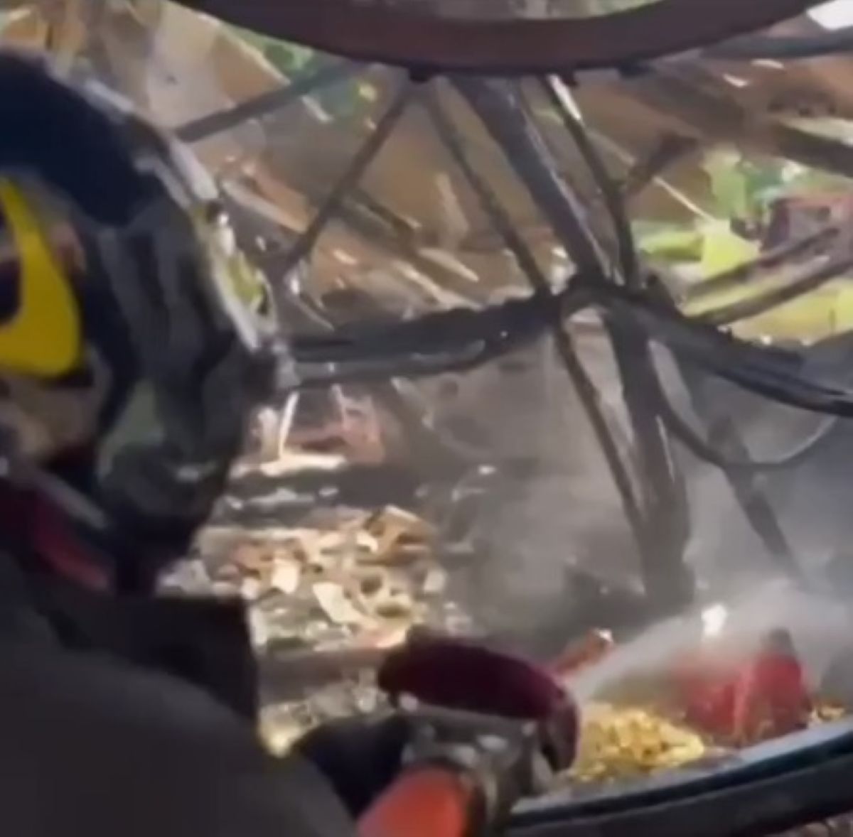 incendio ippodromo strage cavalli