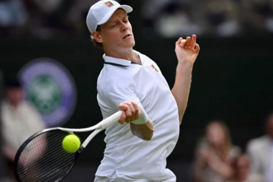 sinner wimbledon finita