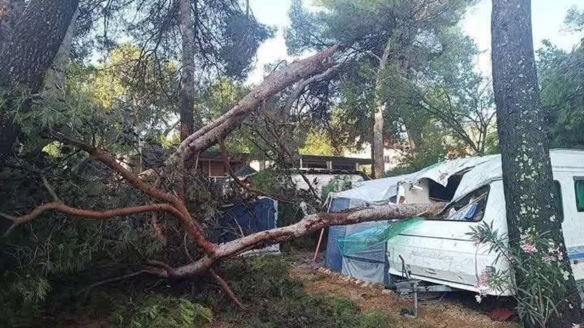 spaventose trombe d8217aria feriti e turisti tratti in salvo decine di alberi sradicati e barche scaraventate a riva da Caffeinamagazine.it spaventose trombe d8217aria feriti e turisti tratti in salvo decine di alberi sradicati e barche scaraventate a riva