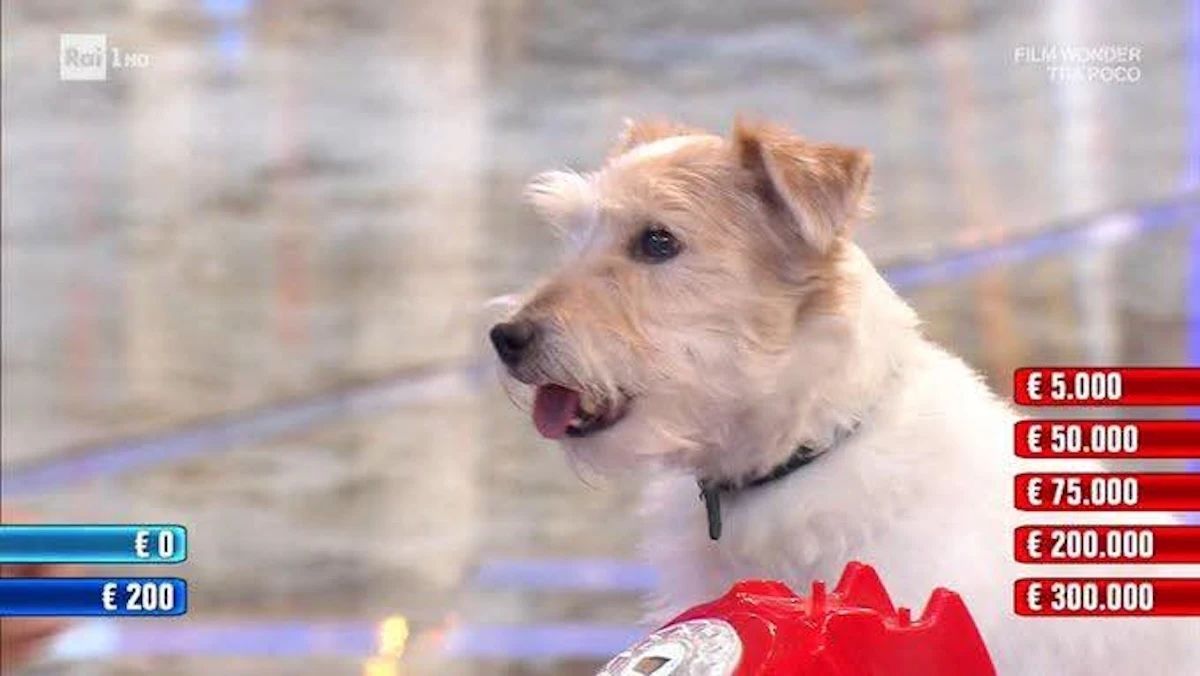 Gennarino, la mascotte di Affari Tuoi