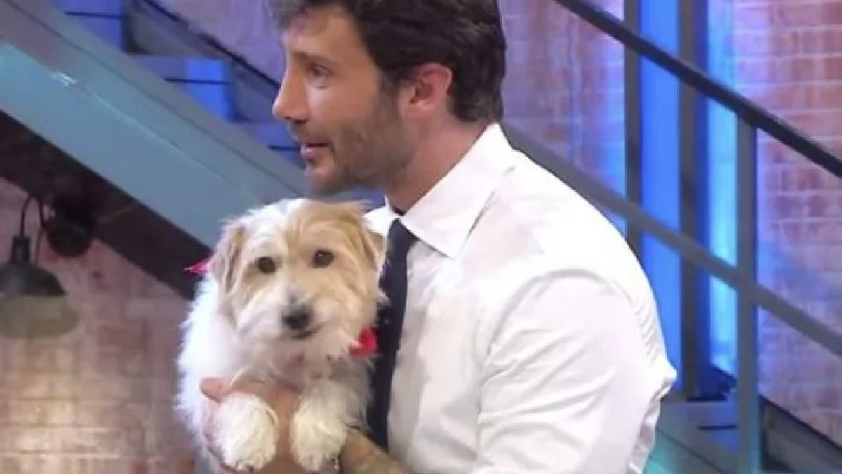 Stefano De Martino con Gennarino ad Affari Tuoi