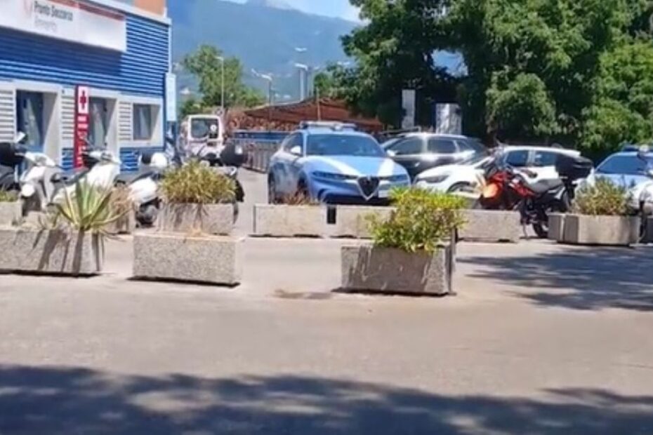 accoltella genero cosa aveva fatto moglie
