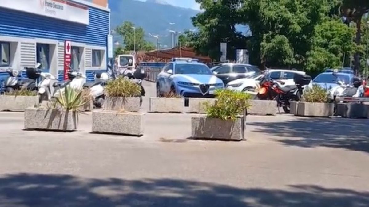accoltella il genero e si barrica in casa arrestato poi la scoperta terribile sulla moglie da Caffeinamagazine.it accoltella il genero e si barrica in casa arrestato poi la scoperta terribile sulla moglie