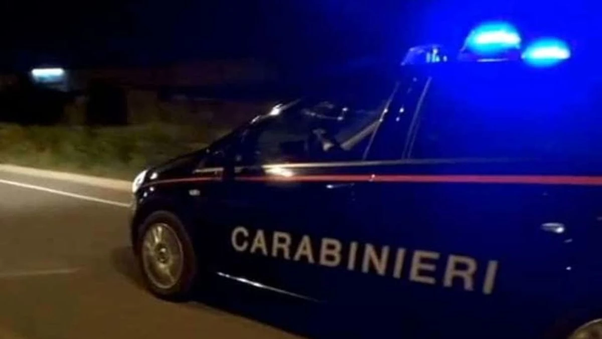 Carabinieri impegnati in attività di controllo e indagine
