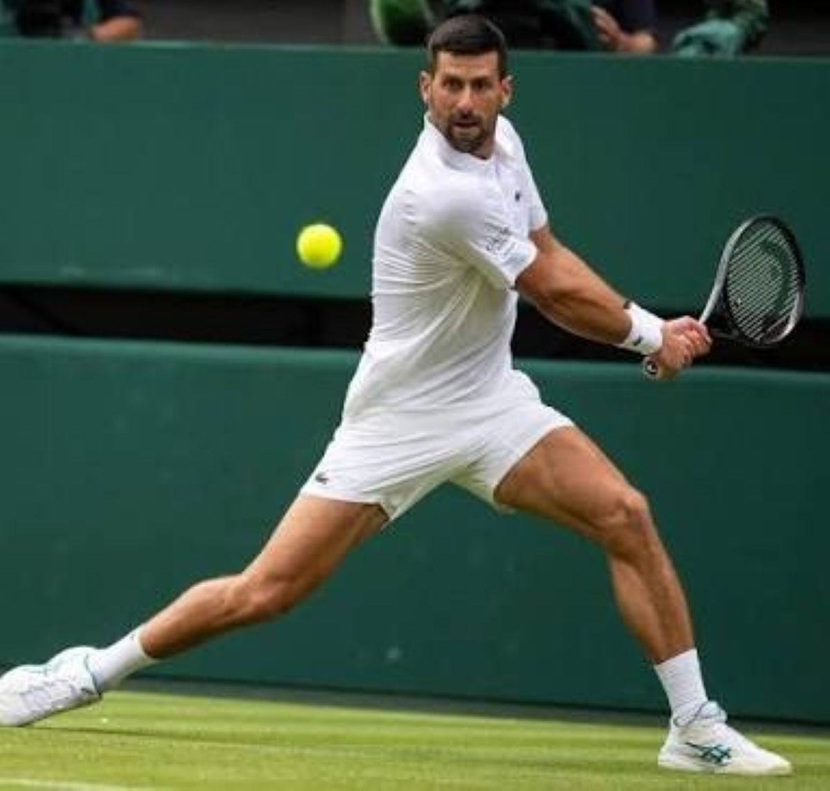 djokovic perde controllo sala stampa