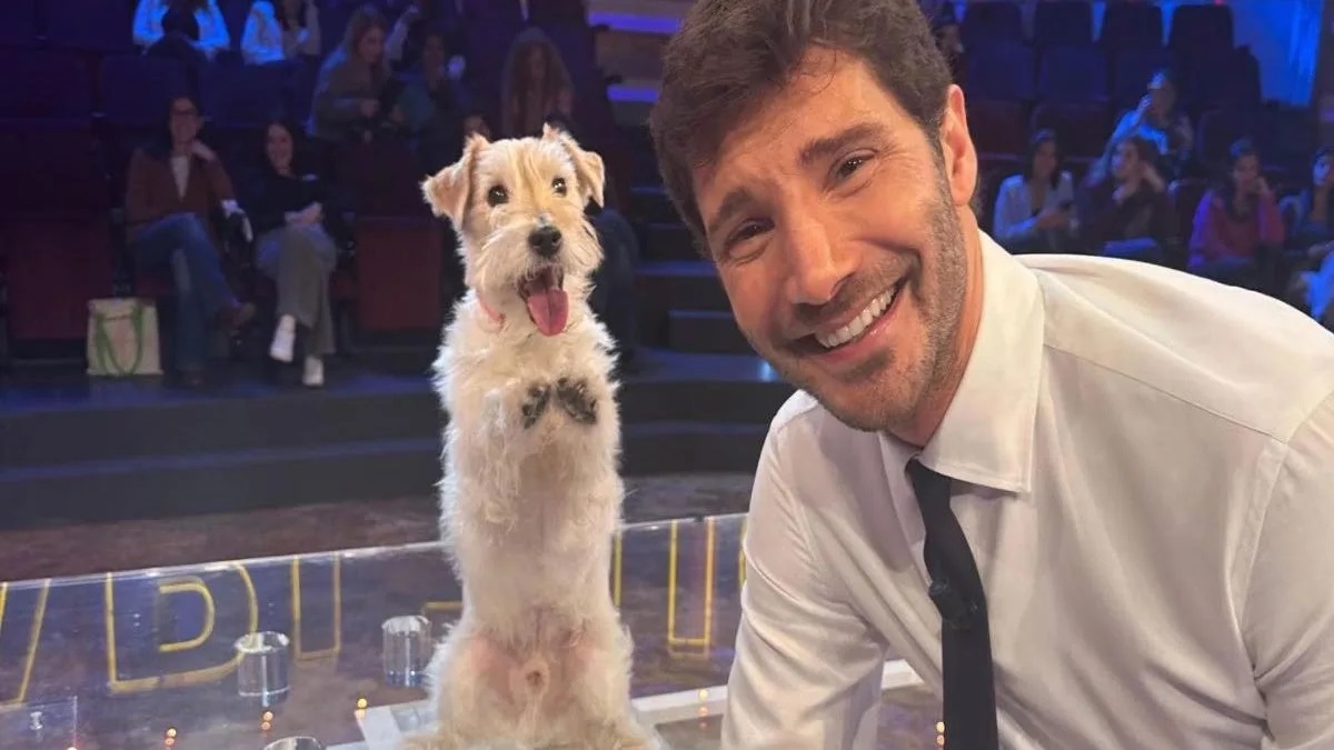 affari tuoi la notizia su gennarino stefano de martino conferma da Caffeinamagazine.it affari tuoi la notizia su gennarino stefano de martino conferma