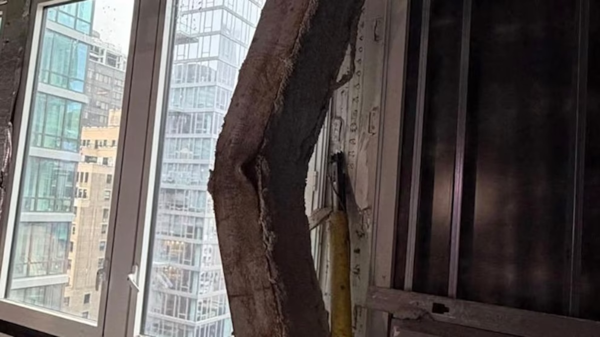 colonne del palazzo piegate crolla tutto paura in pieno centro zona isolata ed evacuata da Caffeinamagazine.it colonne del palazzo piegate crolla tutto paura in pieno centro zona isolata ed evacuata