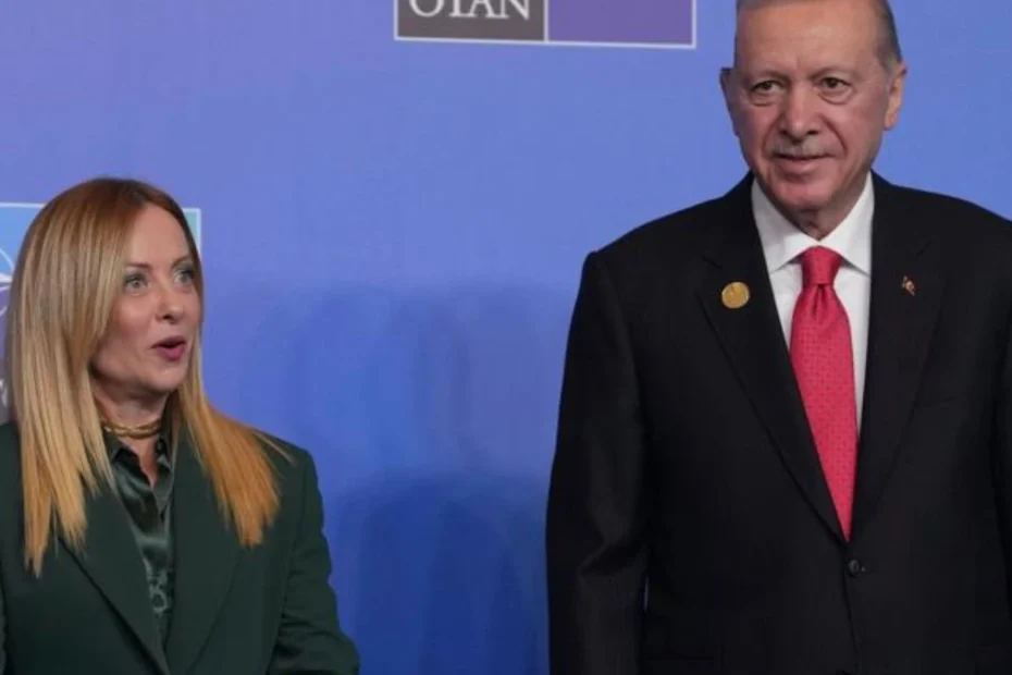 regalo folle erdogan meloni